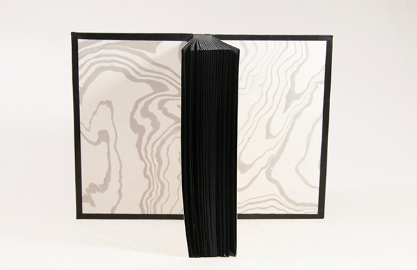 frankenstein fine binding by mel antuna hewitt of libro buch bindery inside endpapers