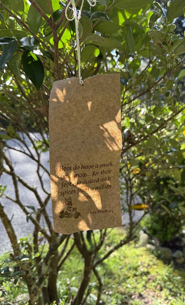 kraft paper weathergram hanging from a small bush