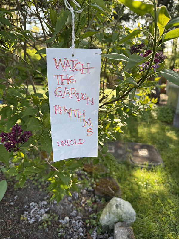 weathergrams exchange on white paper hanging from a lilac bush